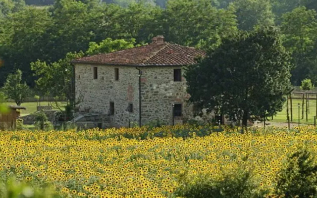 Villa Chianti