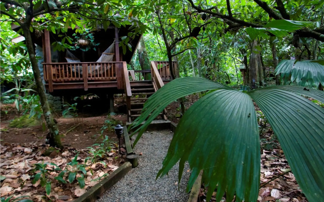 The Lodge at Pico Bonito