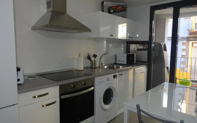 Apartamento Plaza San benito 4
