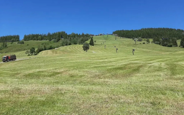 BIO-Bauernhof Hatzbauer