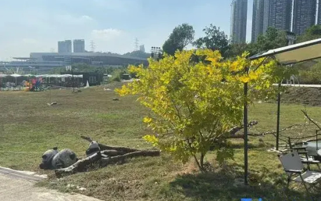 Park Nature Hillside