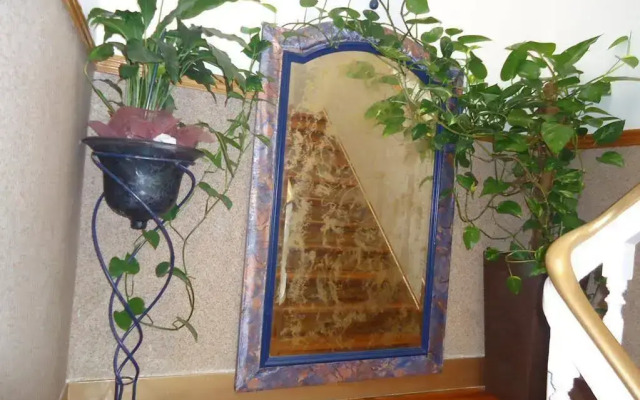 Hotel Aviz