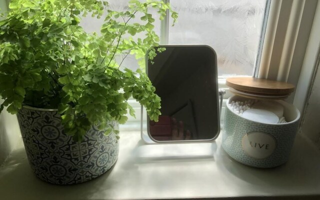 Forest view Bed and Breakfast