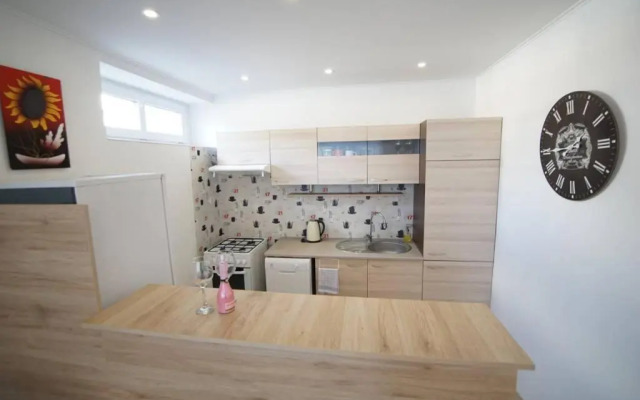 Rozľahlý apartmán v centre Martina