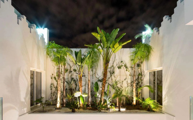 Riad Zyo