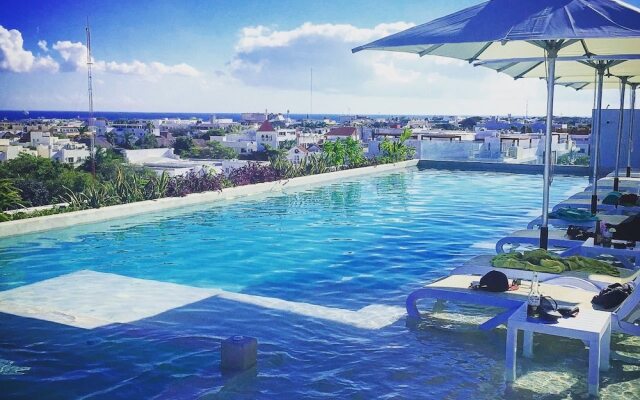 Anah Downtown DT 201B