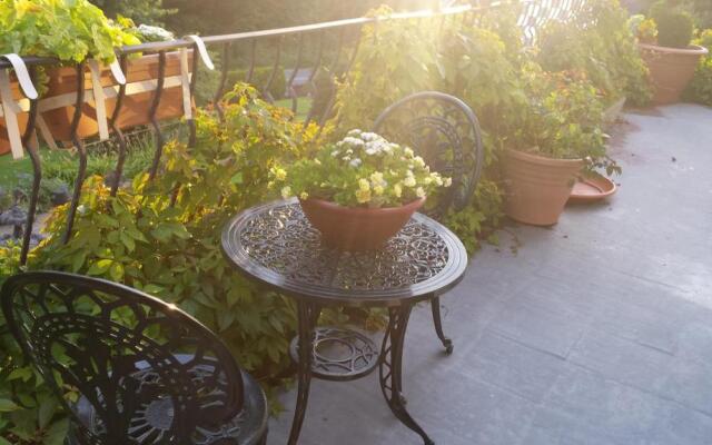 Clones 'Greenjoy - B&B