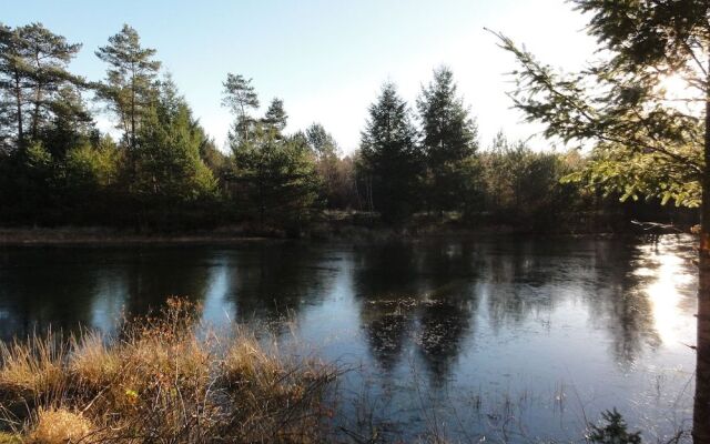 Les Bulles de Sologne - Hébergements Insolites