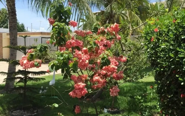 Villa Joia Pousada