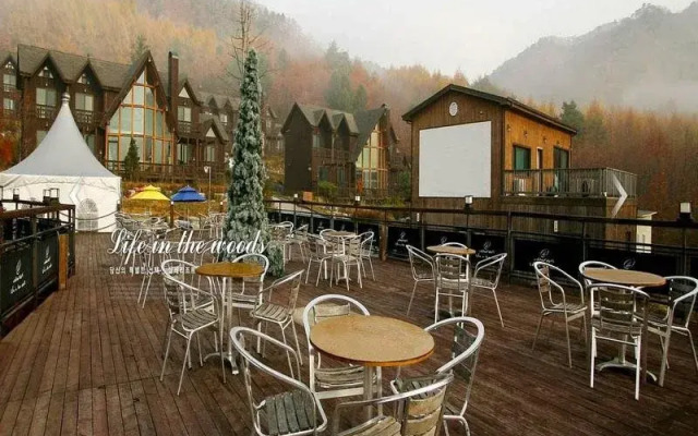 Chalet Resort