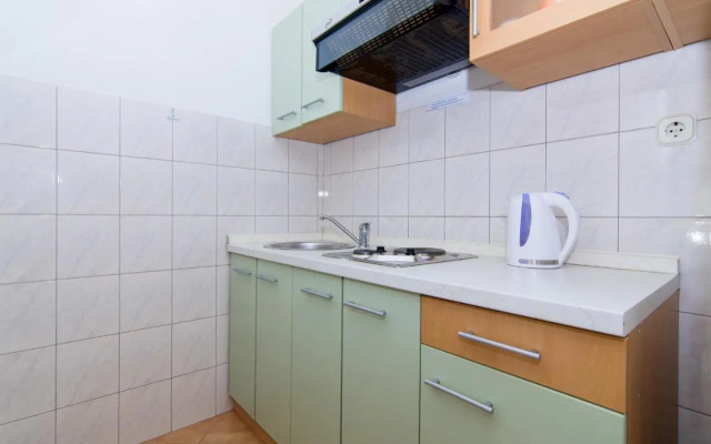 Apartments Slanada