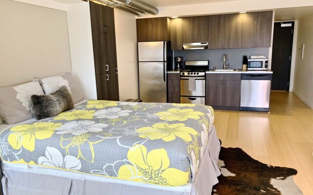 Modern Large Studio 99Wlkscore