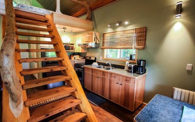 Bella Coola Grizzly Tours Cabins