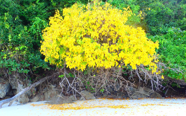 Victoria Cliff Nyaung Oo Phee Island