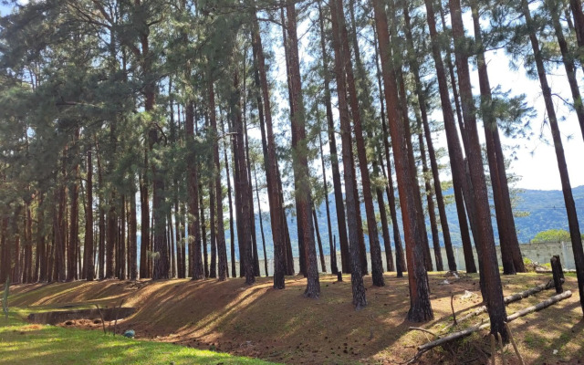 Loft Condado Bl 2 Ap 116 Aldeia dos Reis Sahy