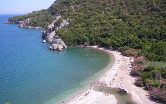 Acar Pension