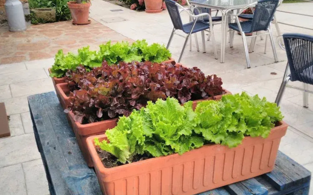 Casona Camino de Hoz