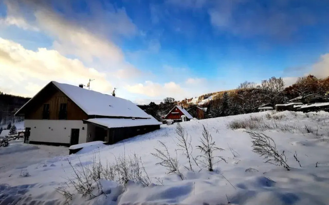 Villa in Austria Near Ski Slopes