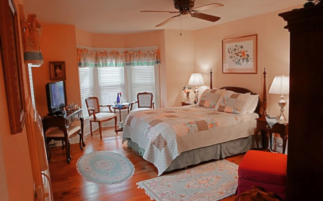 Springfield House B&B