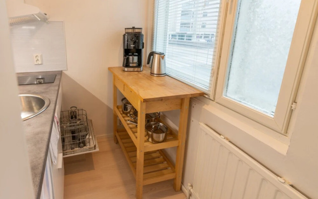 Renovated bright Studio in city center