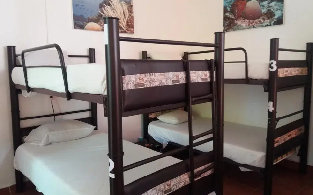 Loft 10 Hostel