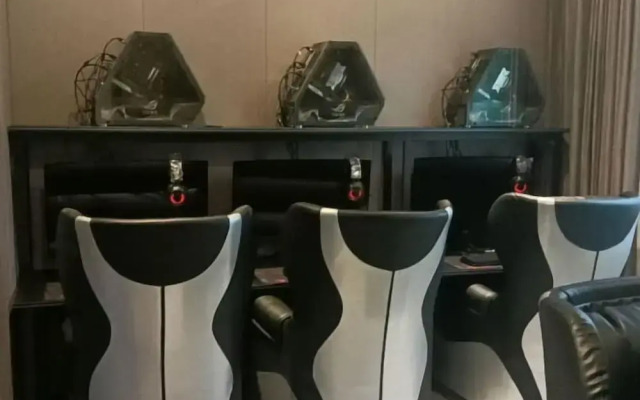 Ruian Shangpin E-sports Hotel