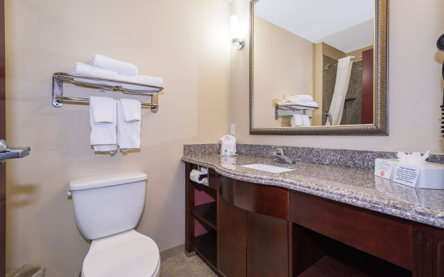 Comfort Inn & Suites Maingate South