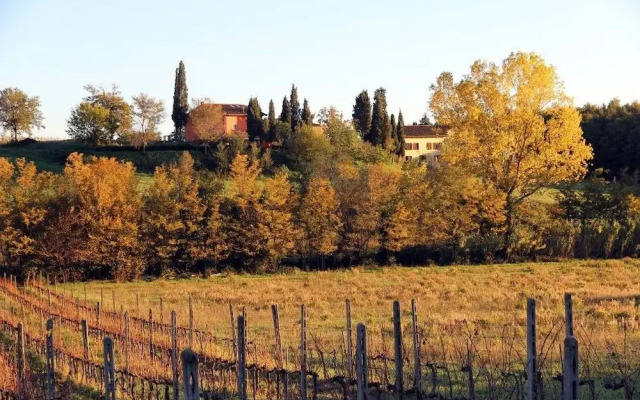 Romignano Wine Farm
