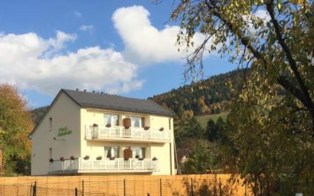 Willa Aleksandra - Apartamenty