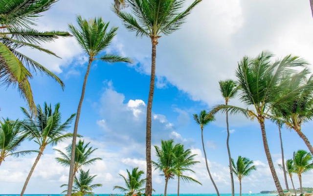Palm Green Vacations Whitesands