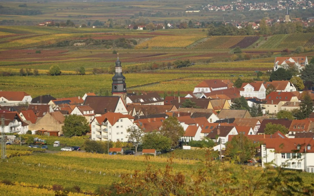 Ferienwohnung Knittel