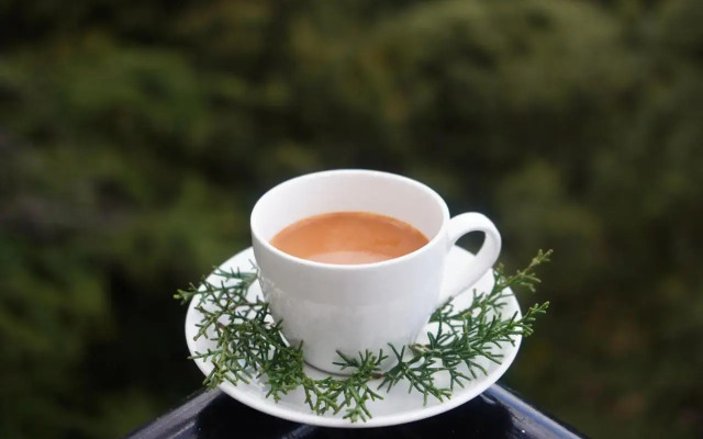 Jakhu Vibes | Valley-view Rooms