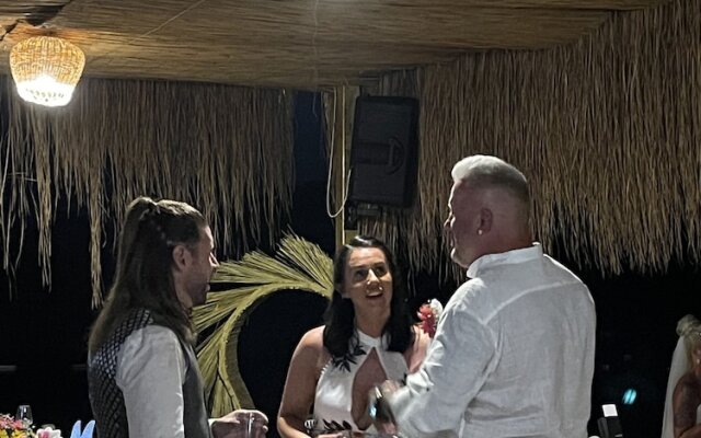 Green Pine Beach & Bungalows Luxury Concept