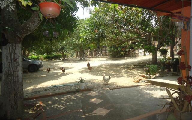 Hostel Finca La Gordita