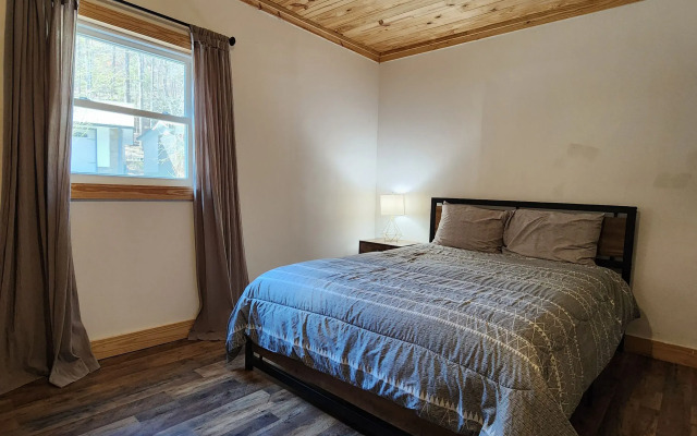 Modern Style Peaceful Tranquility Pet Friendly