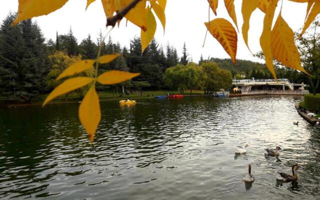 улица „Вихрен“ 20