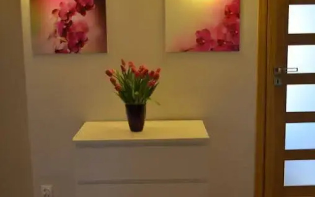 Apartament Orchidea