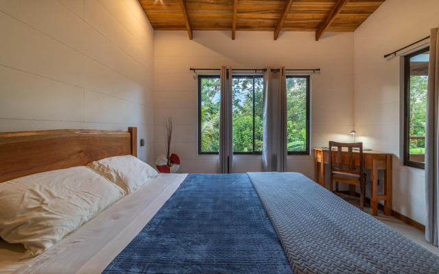 Aves De Tierras Altas