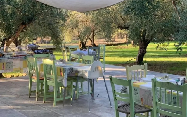 Anastasios Olive Garden Apartments