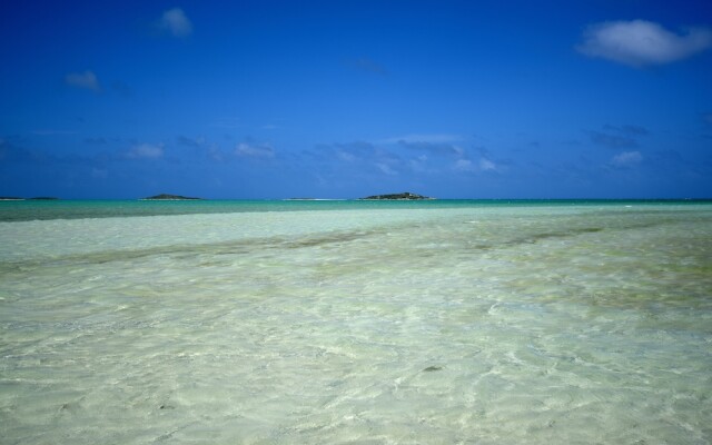 Chesters Bonefish Lodge