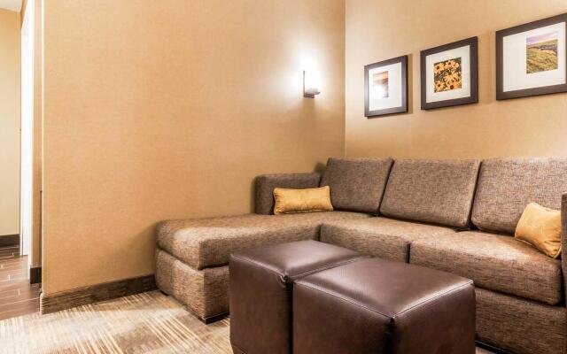 Comfort Suites University