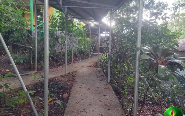 Perla verde hostel y tours en la zona