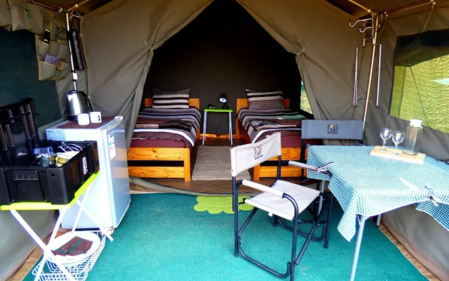 Thorn Tree Bush Camp