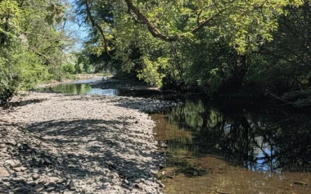 Tranquil Cabin Retreat- Sleeps 2, Parking