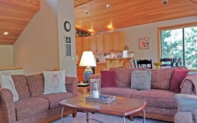 Redcedar 50