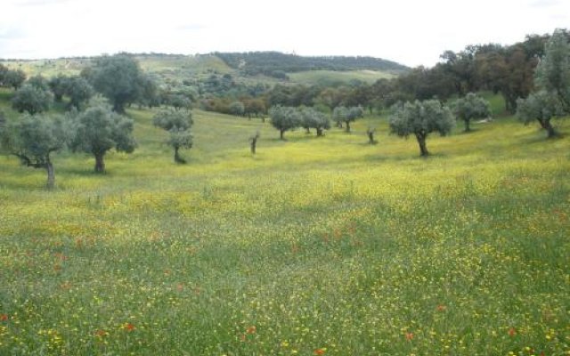 Quinta Da Mata