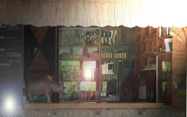 Eco Wildlife Lodge