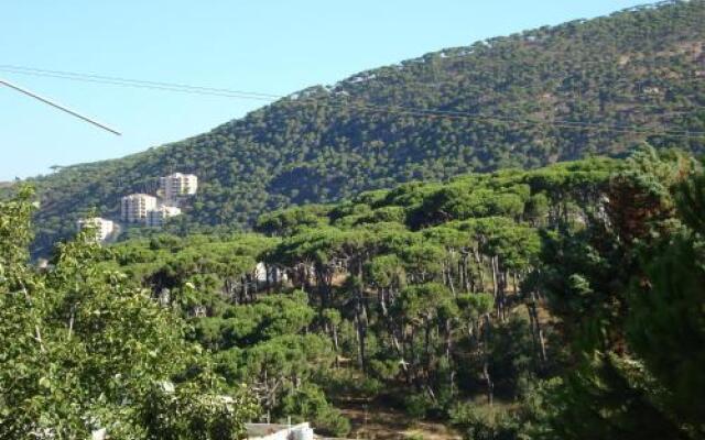 Modern Hotel Falougha