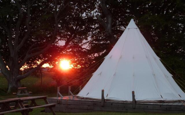 Pinewood Park-Tipis Hot Tubs And Lodges