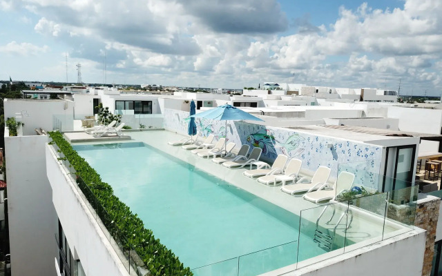 Anah Luxury Condos by Baitna